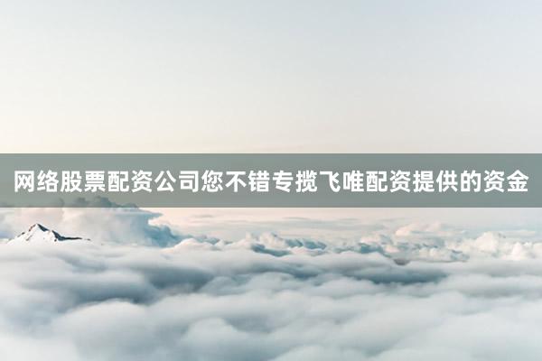网络股票配资公司您不错专揽飞唯配资提供的资金