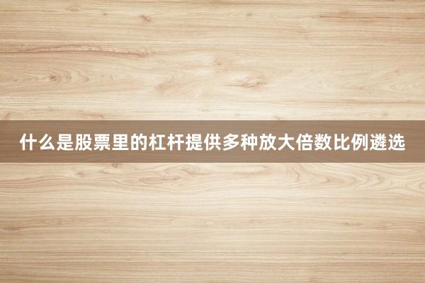 什么是股票里的杠杆提供多种放大倍数比例遴选